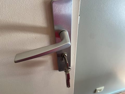 Hand-held showerhead