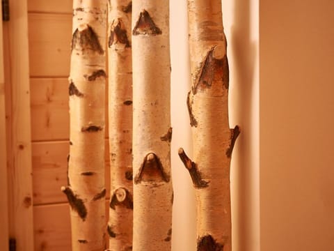 Chalet 1 - Glockner Chalet Chalet in Carinthia, Austria