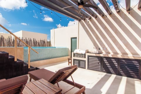Private roof terrace with plunge pool and BBQ!