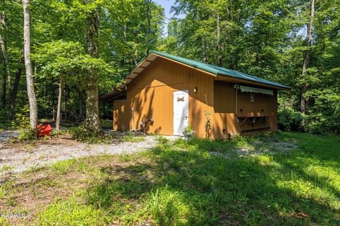 Hidden Paradise Farms – 4 Cabins & RV Sleeps 19 Perfect for Large Groups (8172)