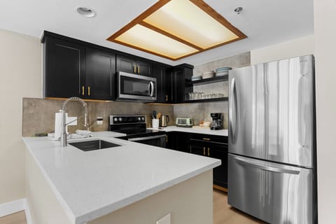 Upgraded kitchen with stainless steel appliances.