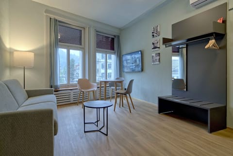 Living room /Sofa bed / dining area / kitchen
