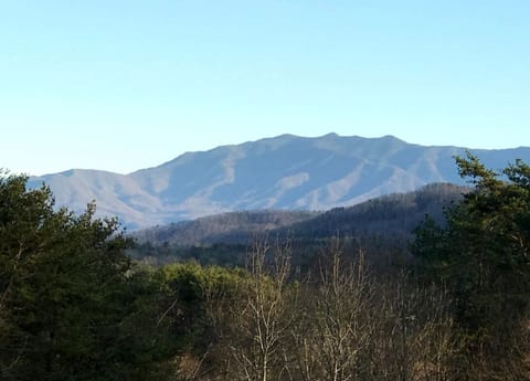 View from front porch of Mt.LeConte