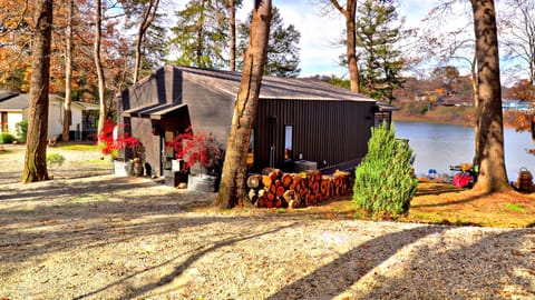 Welcome to Midnight Eddy!