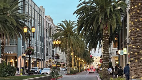 Beautiful Santana Row boulevard with palm trees and evening lights