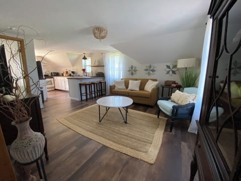 Living Room with Pull Out Sofa