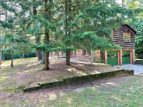 This serene home is a genuine tribute to the forest.