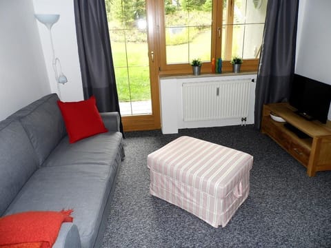 Apartment Ella - Apartments Novak Apartment in Salzburgerland