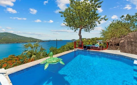 Let this turtle be your role model for your stay, float in the pool all day and soak in the views.