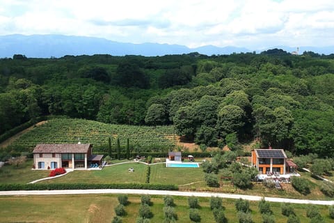 Autumn, Garden, Spring, Summer