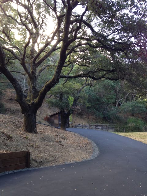 Private driveway to our 1 acre property