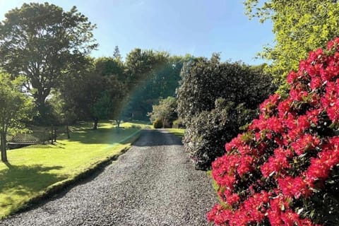 Looking up the drive towards The Bothy. Eating apples on left & cooking on right