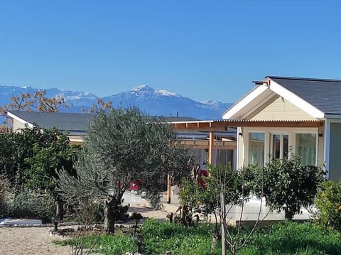 10d17cad 30b1 4753 a2d9 8c6aeae50bc8