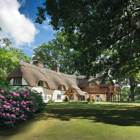 Summer at Newlands Farm