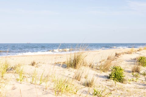 Golden sand dunes and gentle waves create the perfect setting for a peaceful beach escape.