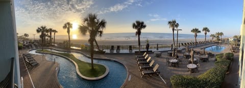Direct Oceanfront views with Palm trees