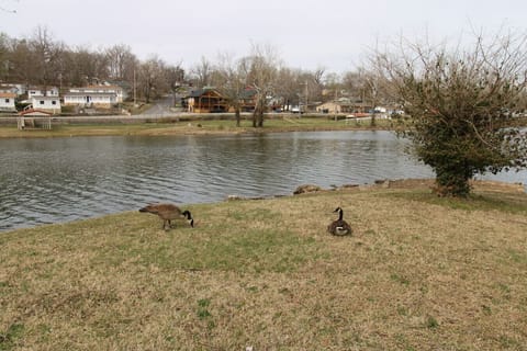 Lake Taneycomo