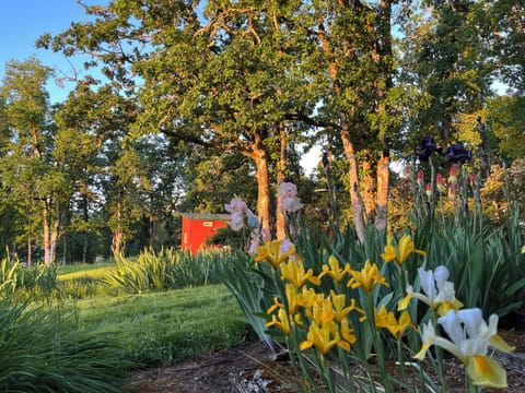 The tiny house as seen from the main house in the spring.