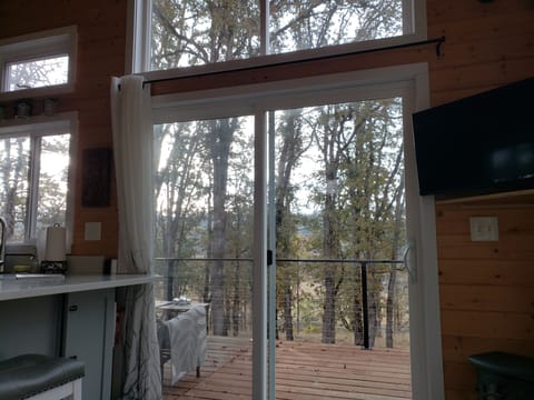 Winter view from the living room sofa