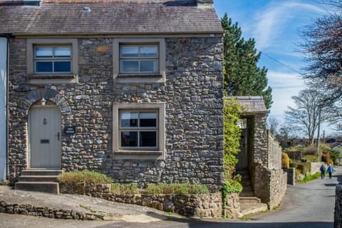 Fern Cottage - 2 Bedroom Cottage - St. Florence (25142)