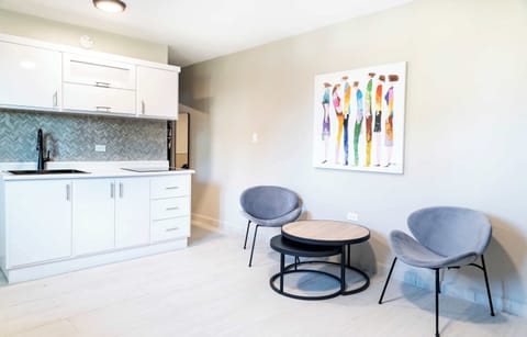 Kitchenette & Lounge Area