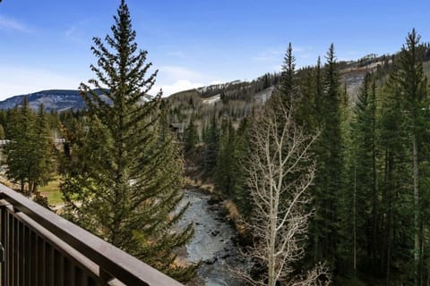 Patio with amazing river mountain views