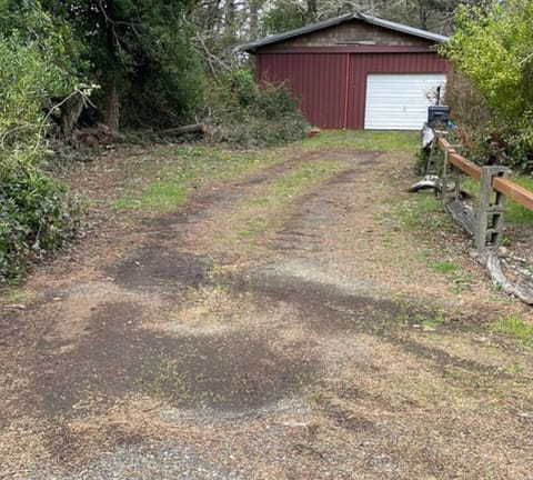 Driveway View from the street.  