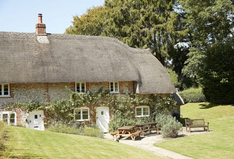 Beautiful thatched roof and original features of this historic cottage
