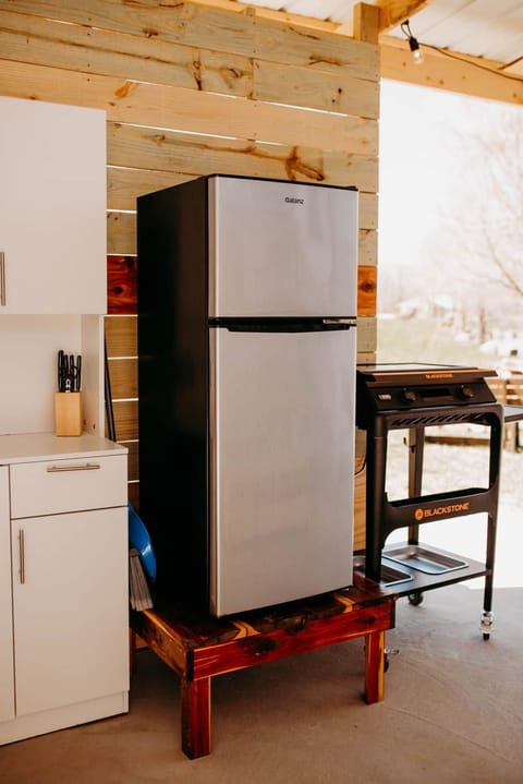 Refridgerator and electric Blackstone