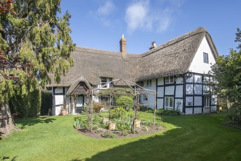 Back Garden