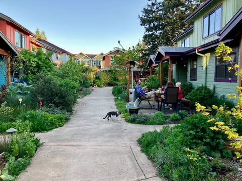 Walkway through the community.