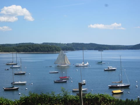 View from the house 