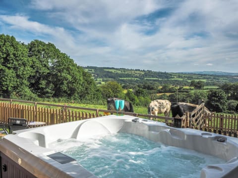 A hot tub on the terrace overlooking a field with cows