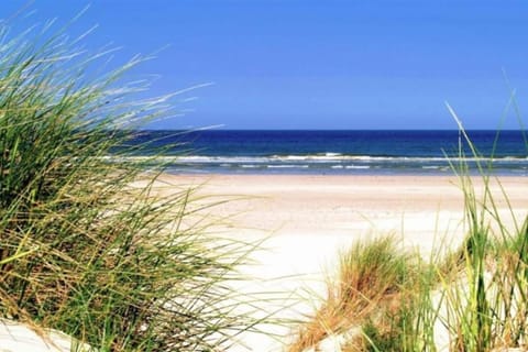 Surroundings [summer] (1-5 km)