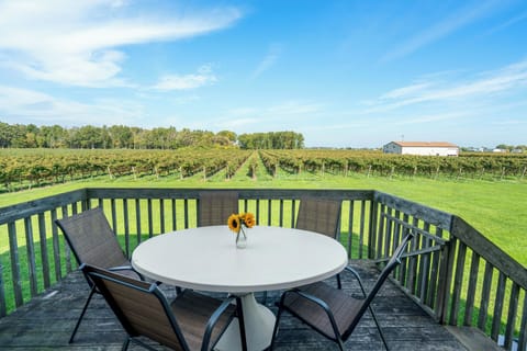 Patio overlooking our vineyards