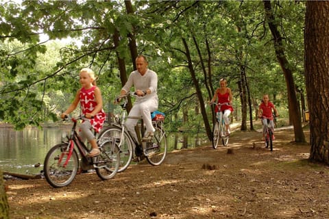 Immediate Surroundings [summer] (<1 km)