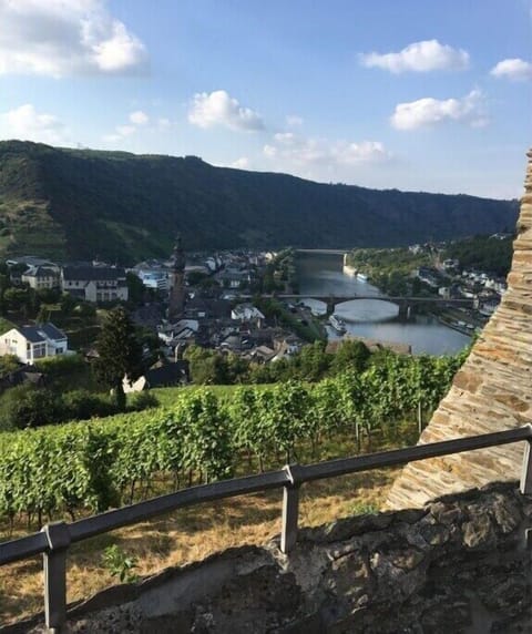 View from Holiday Home [summer]