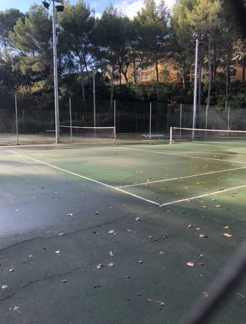 Sport court