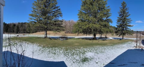 Backyard views of pastures
