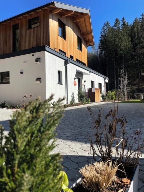 Courtyard with parking space