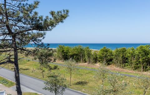 View of the Beach and the Sea