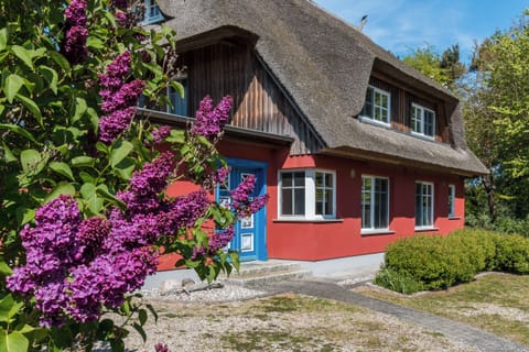 Thatched House in Blooming Surroundings
