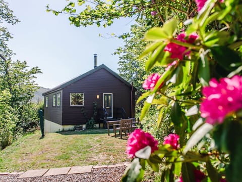 Grass, Shrub, House, Cottage, Home, Rural Area, Land Lot, Groundcover, Garden, Garden Buildings