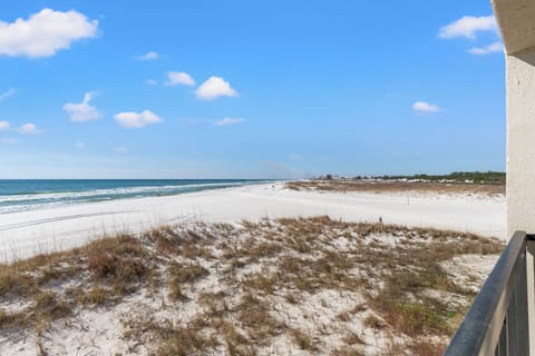 Pinnacle Port C3-203 16