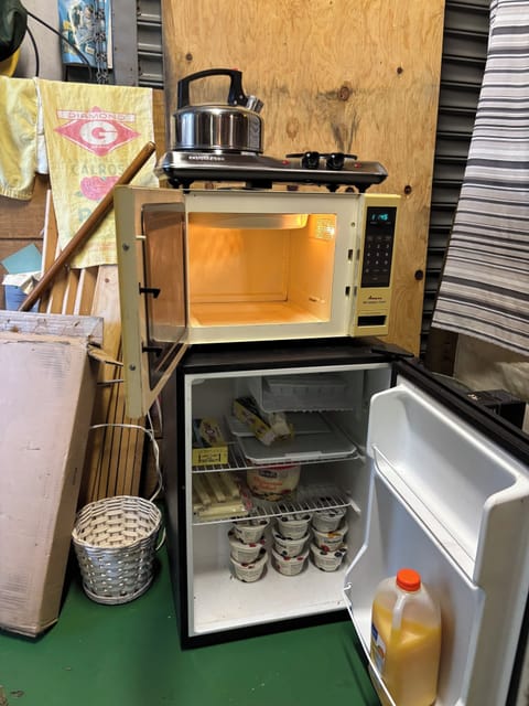 Double hot plate, microwave oven and mini fridge.