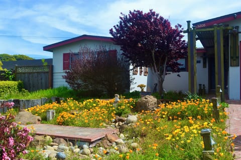 Our little home on poppy hill :)