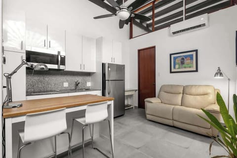 livingroom with kitchen , stainless steel fridge, air conditioner, sofabed, seats, ceiling fan, microwave,  reading lamps, cabinets