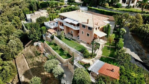 Ariel View of the property