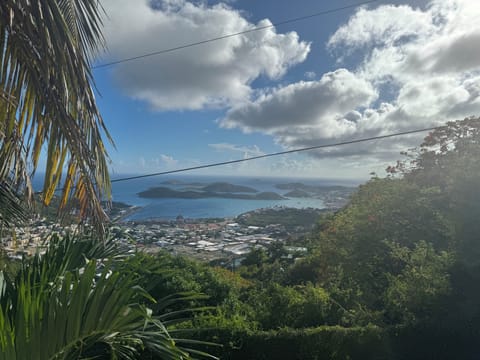  Charlotte Amalie Harbor