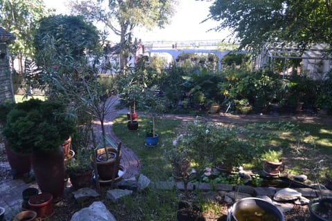 Backyard and garden area